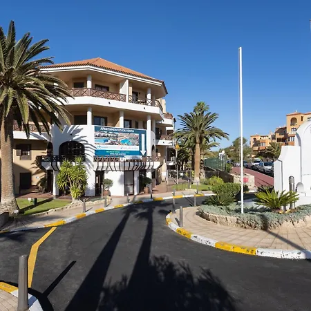 Albatros 433b In Tenerife South