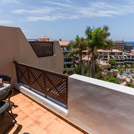 Apartman Albatros 433b In Tenerife South *